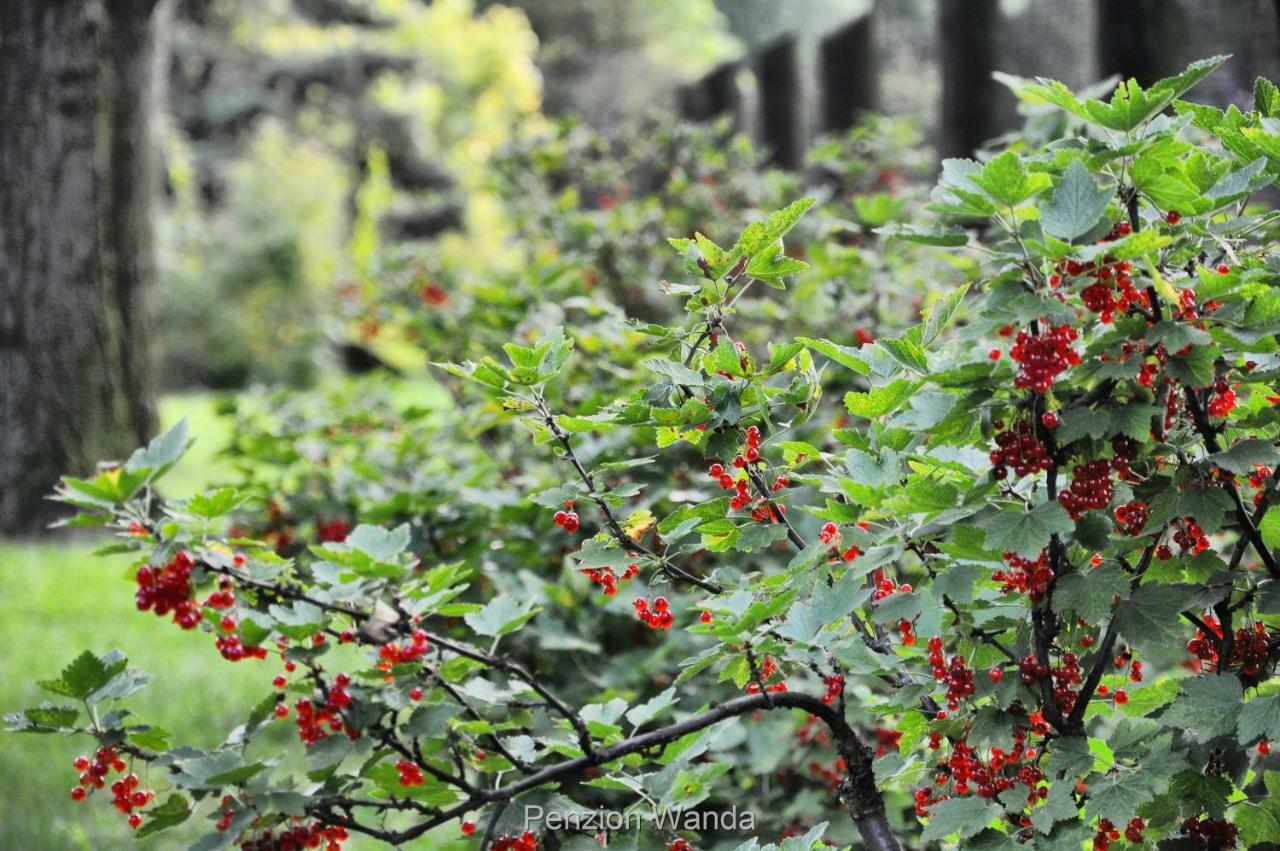 Penzion Wanda Богумін Екстер'єр фото